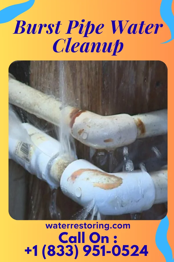 Burst Pipe Water Cleanup in Parral, OH