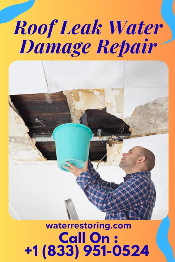 Roof Leak Water Damage Repair in Parral, OH