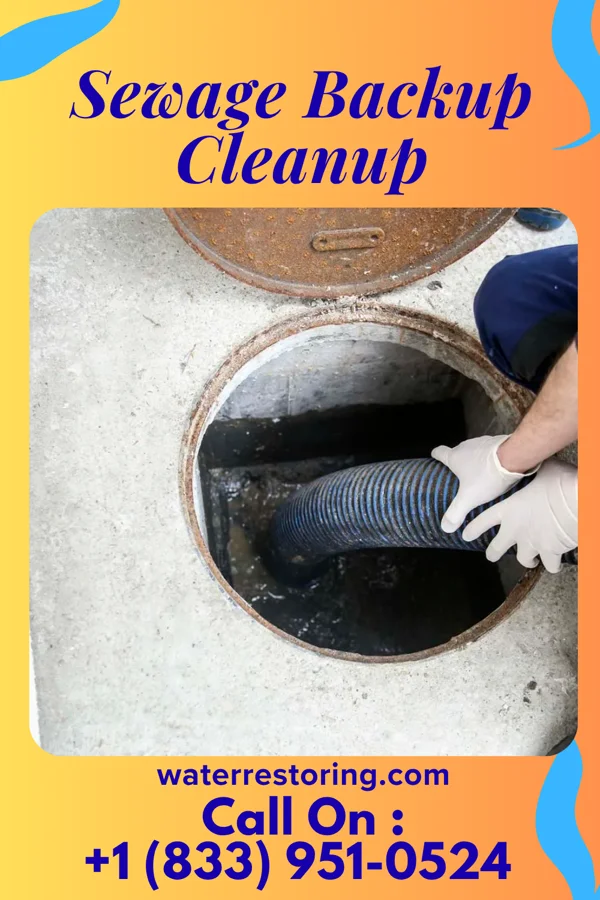 Sewage Backup Cleanup in Parral, OH